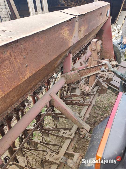 siewnik poznaniak Głomsk