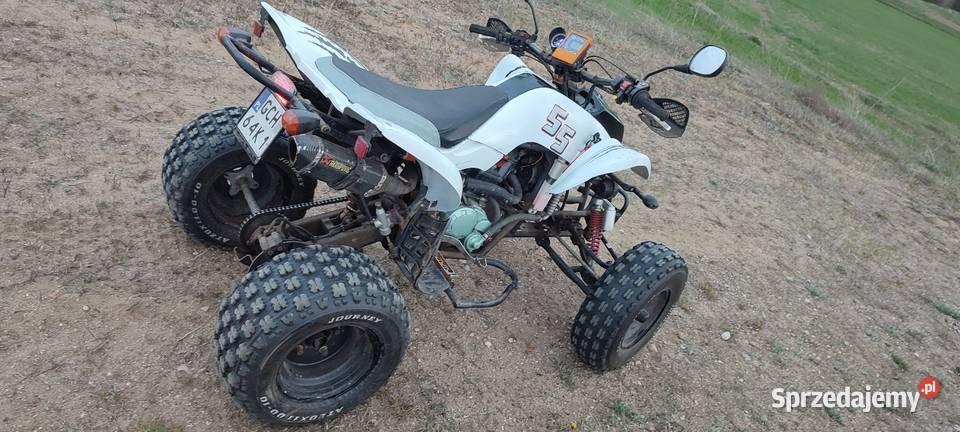 Quad Bashan 250 Bashan Działdowo