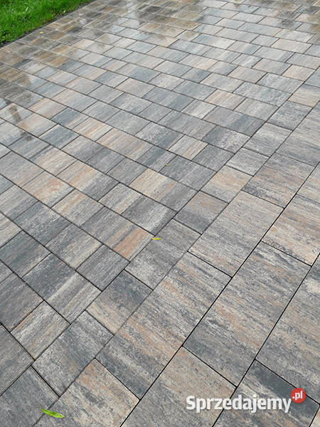 Sparta Gladio Kostka Brukowa Obrzeża Niechcice