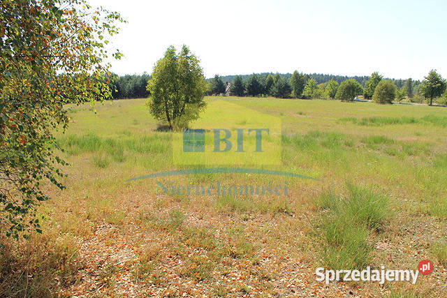 Działki inwestycyjna jeziorem Siecino