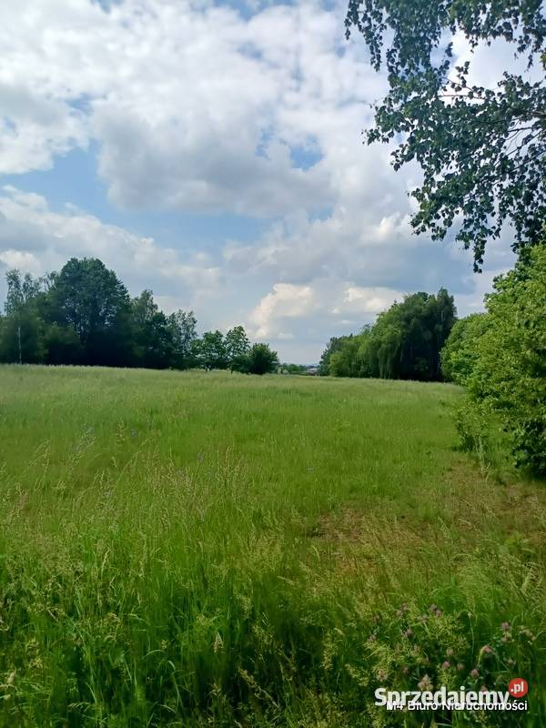 ŁADNA DZIAŁKA W ŚWIERZOWEJ POLSKIEJ 24 AR Sprzedaż Grunty i działki Krosno