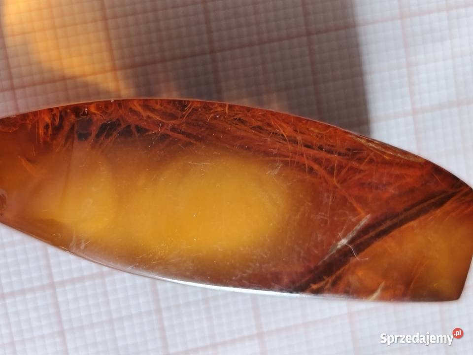 Bursztyn Inkluzja Roślinna Pozostałe podlaskie Białystok