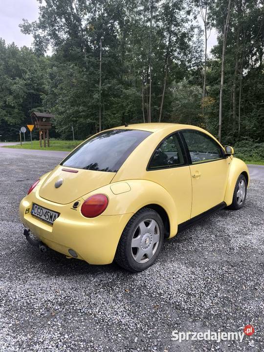 VW Beetle 2/3 łódzkie Bełchów