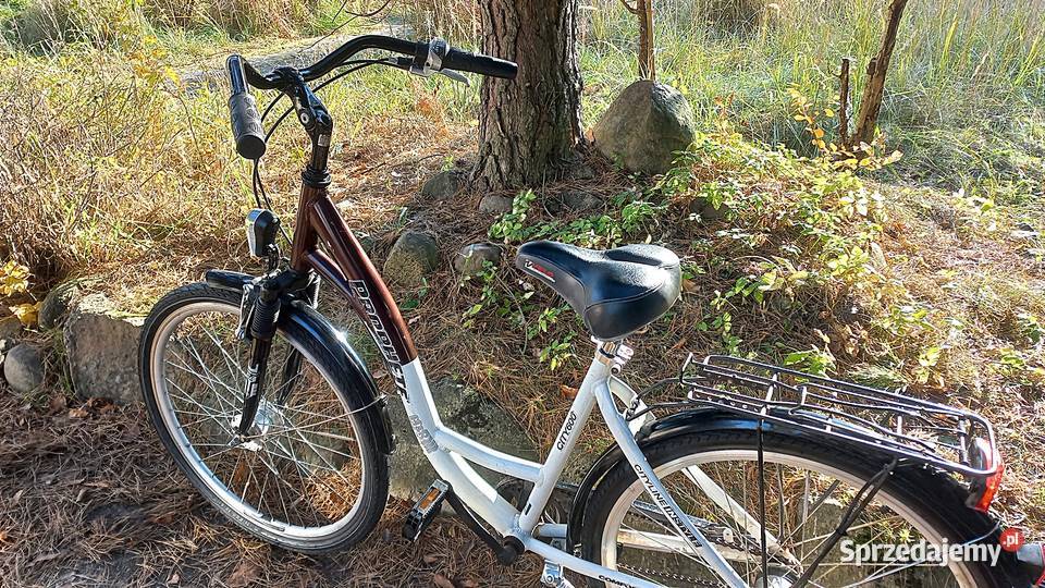 Alu Rower Miejski Damski Prophete City 600 Damka Wołów