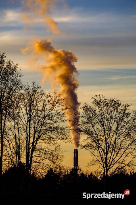 Raport Kobize Andrychów Orzesze Rawicz Józefów
