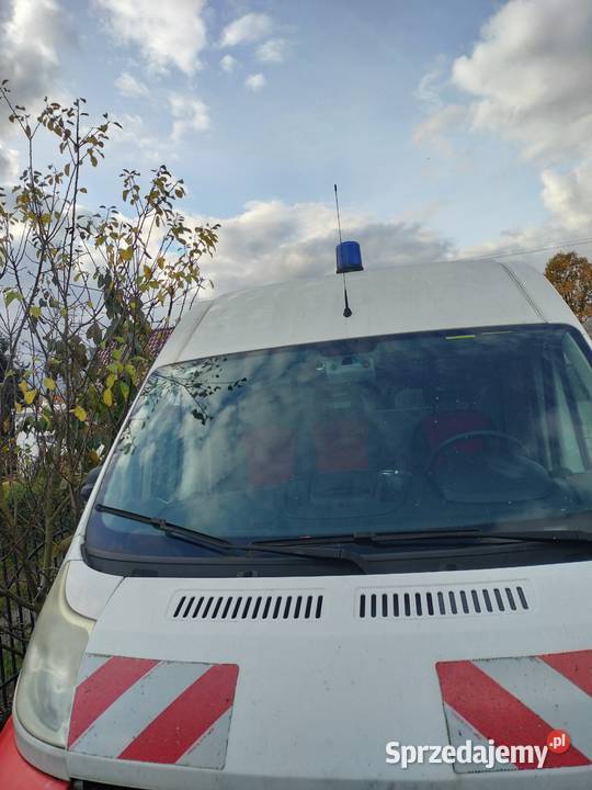 fiat ducato Drągowina