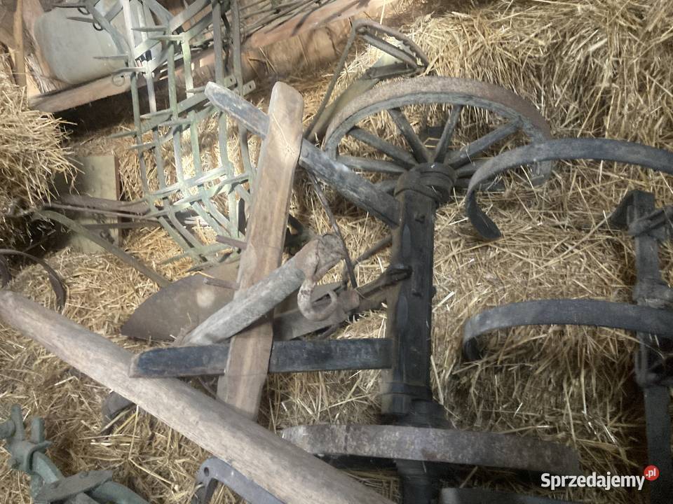 Sprzęty rolne konne zabytkowe pług kultywator Połaniec