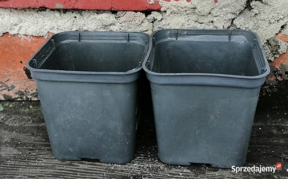 Doniczki P8 03L 8 Produkcyjne Twarde Dekoracje i ozdoby Siewierz