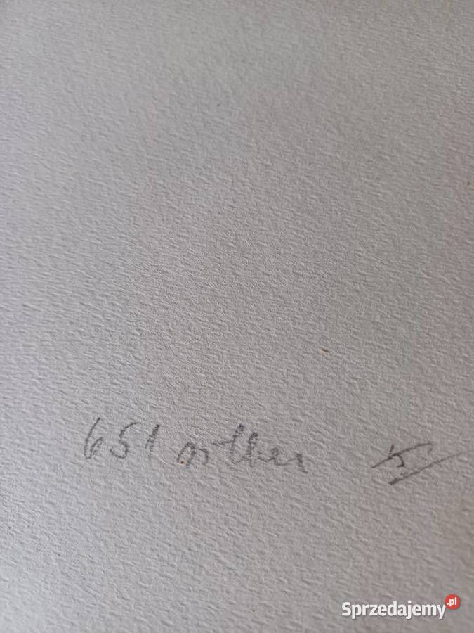 grafika Petera Paula Rubensa Nowy Targ sprzedam