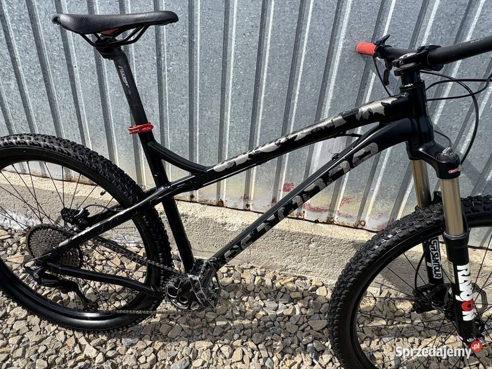 Rower górski ht Dartmoor Primal taka ze względu Górskie, MTB Bieśnik