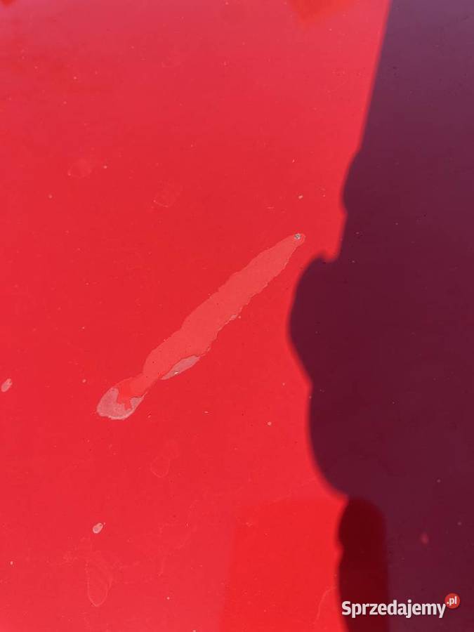 FIAT Punto Evo 2011 82KM Robakowo