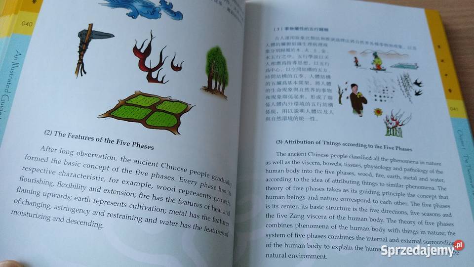 An illustrated guide to Chinese medicine Yibing miękka Książki naukowe i popularnonaukowe Gdańsk sprzedam