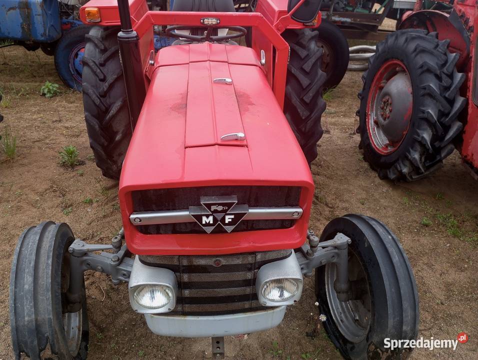 Ciągnik Massey ferguson 135 Buk sprzedam