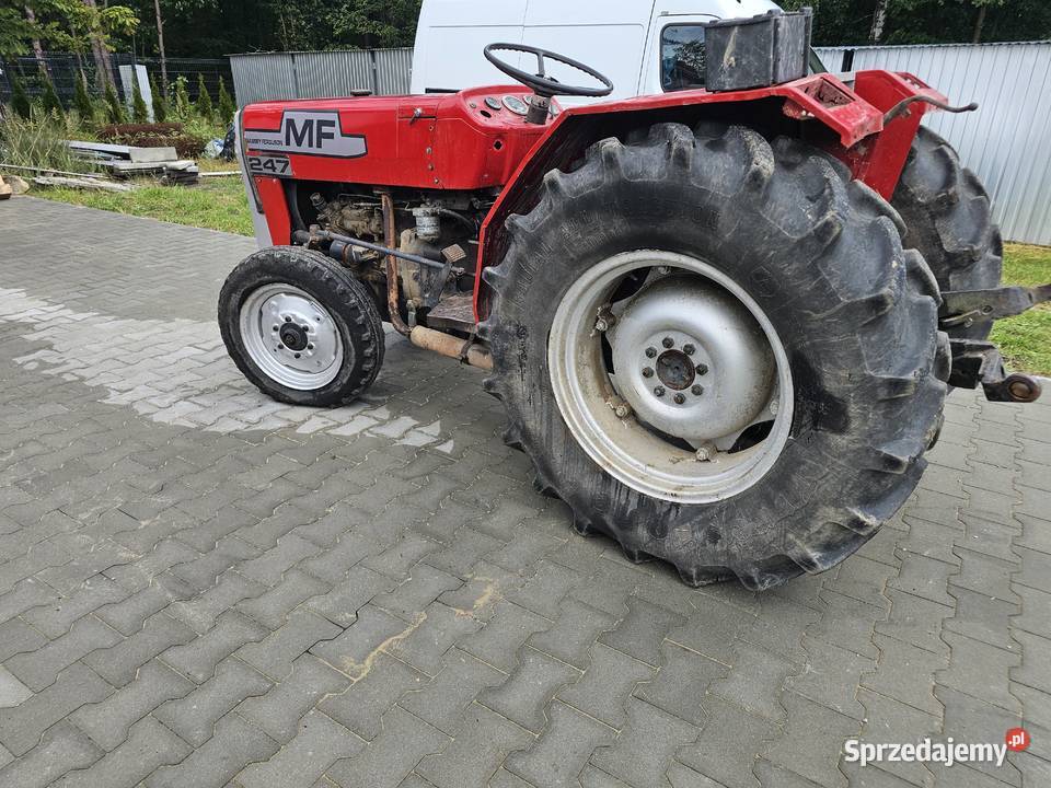 Massey Ferguson 247 Opole Lubelskie
