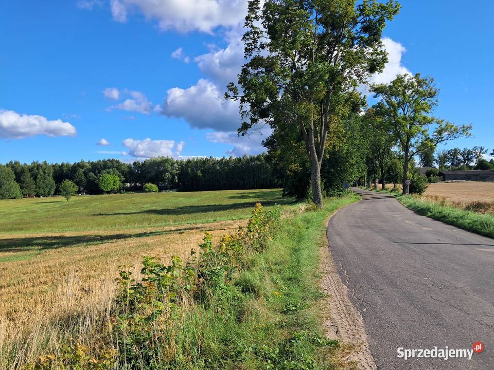 Działki Jezioraka idealne miejsce na dom 267zł/m2 warmińsko-mazurskie Duba sprzedam