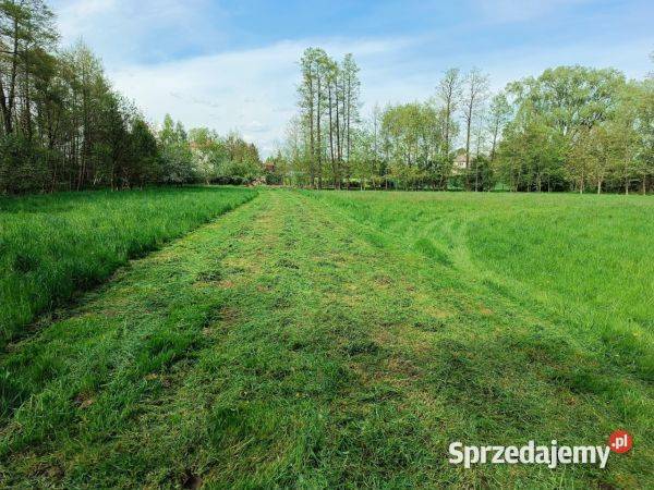 Kosiarka sadownicza mulczer kubota iseki yanmar Dębica