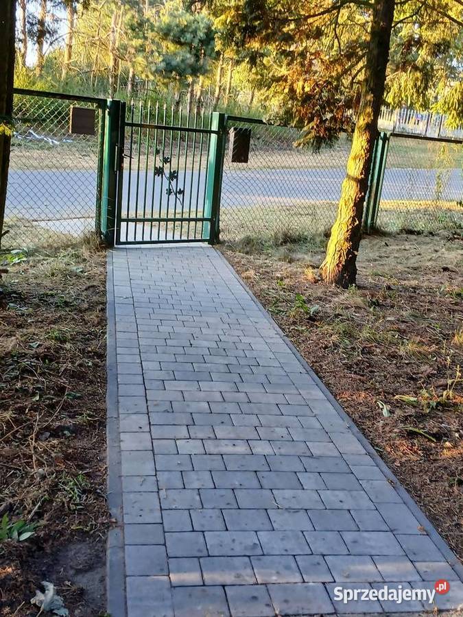Sprzedam całoroczny dom na działce 169h Świetny Sprzedaż Olkowice