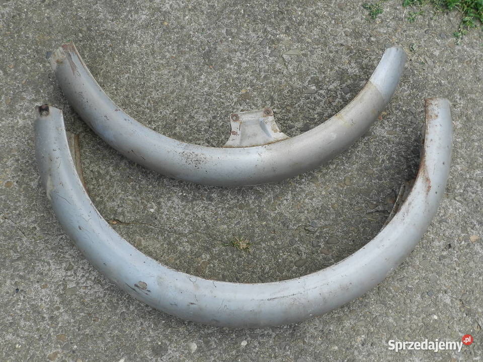 simson błotniki podkarpackie Rymanów