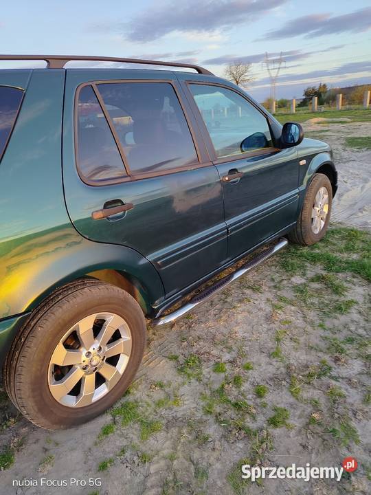 Ml 23 log Brzozówka