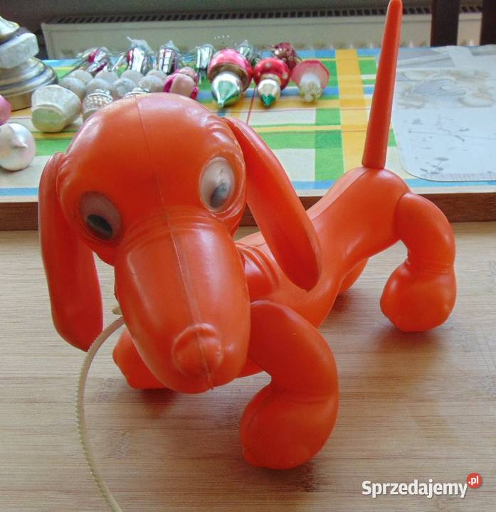 PRL pieski zozolki Warszawa