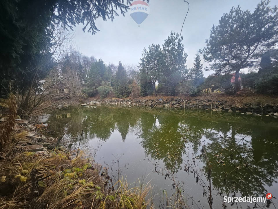 Działka Rod ze stawem do własnej aranżacji Michałów-Reginów