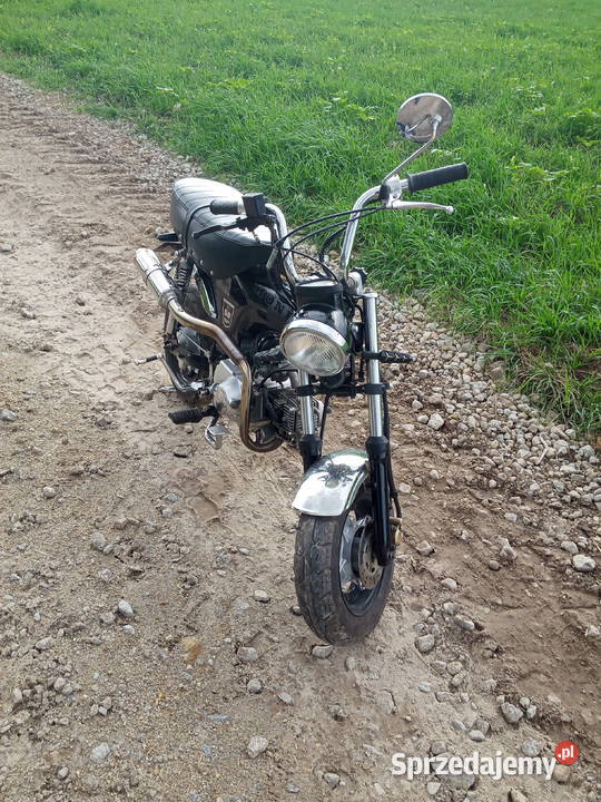 TNT city 50 taki Honda Dax Borek