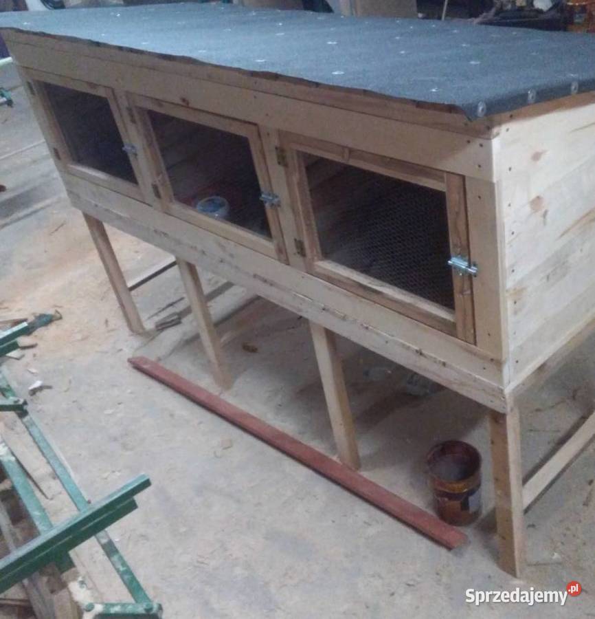 Króliki królik samiec samica klatka transporter Gryzonie Leśna Podlaska