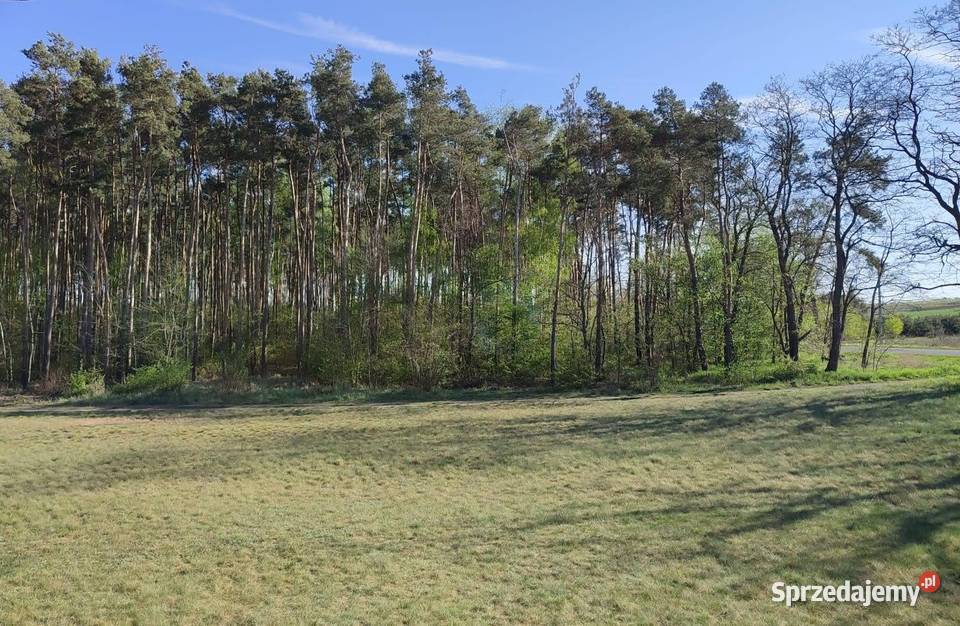 WYJĄTKOWY DOM Z ANTRESOLĄ POD LASEM PRZYBYŁÓW 1 piętro wielkopolskie Przybyłów