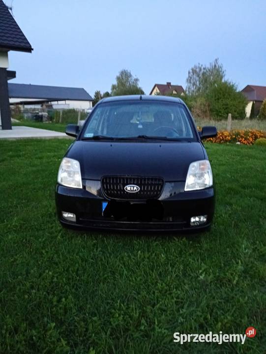 Kia Picanto 11 EX Samochody osobowe Kurów
