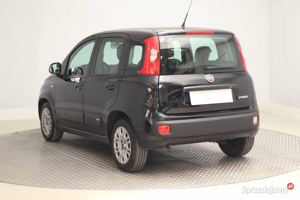 Fiat Panda 10 FireFly Panda śląskie