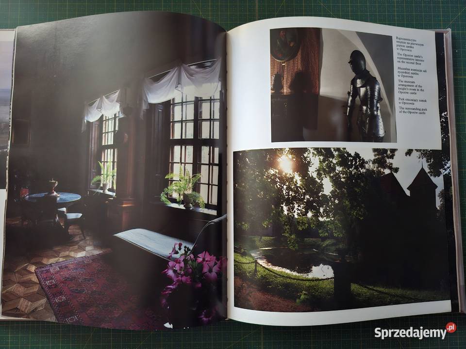 Zamki i zamczyska Adam Bujak Rok wydania 1993 Kraków