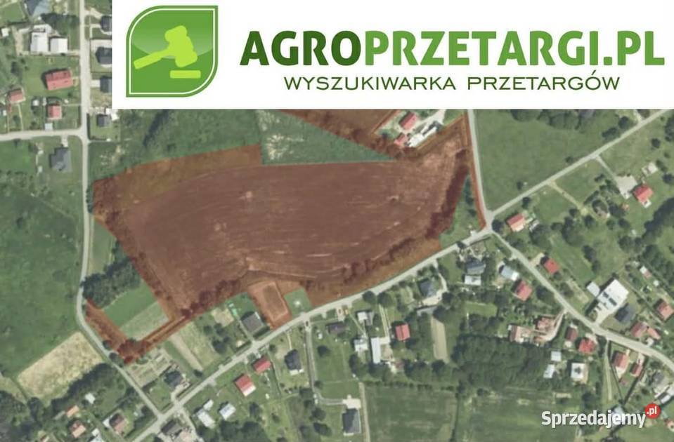 Dzierżawa 430 ha gruntu rolnego Przemyśl sprzedam