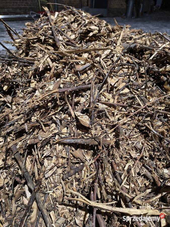 Zrębki do wędzenia Wąbiewo