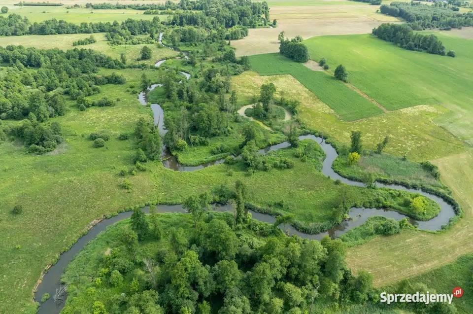 Dom letniskowy Rawką w Bolimowskim Parku łódzkie