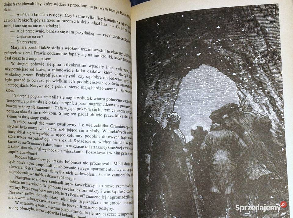 Tajemnicza wyspa Tom 1 i 2 Juliusz Verne Chełm sprzedam