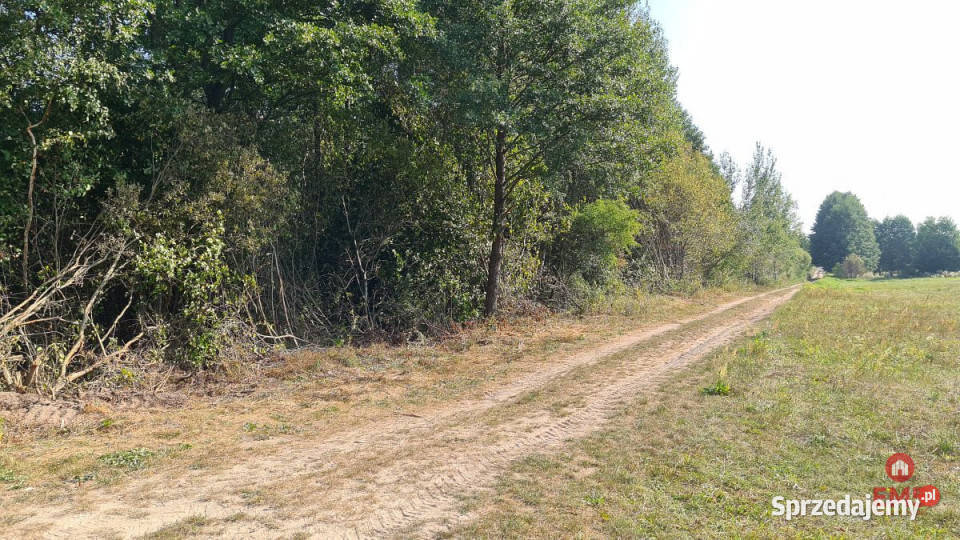 Działka na sprzedaż 5100m2 Ciasne