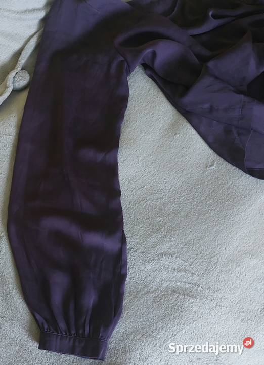 Bluzeczka fioletowa Józefów Roztoczański