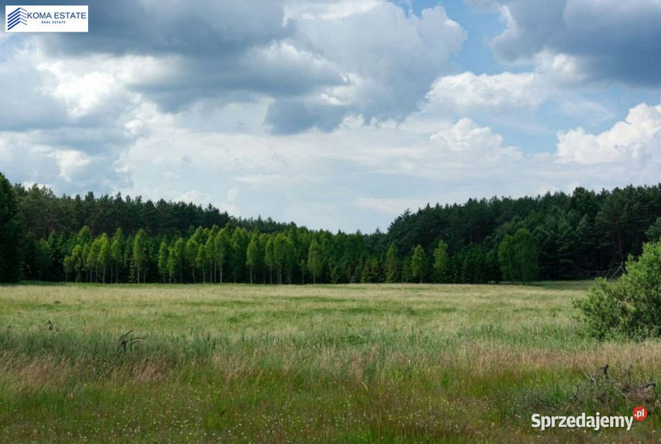 Grunt Zgniłocha 1039m2 sprzedam