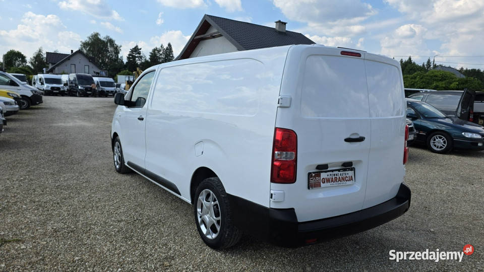 Citroen Jumpy L3H1 Long 20 HDI stan immobilizer Citroën Chełm Śląski sprzedam