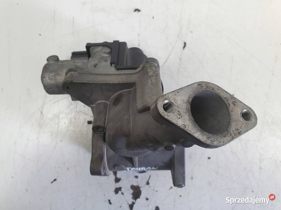 Seat Leon II 19 TDI ZAWÓR EGR 03G131501N Części samochodowe Rudka