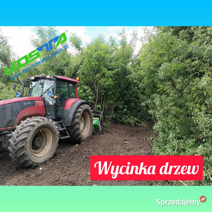 Mulczowanie działek w Gliwice wgłębne Karczowanie i usuwanie drzew
