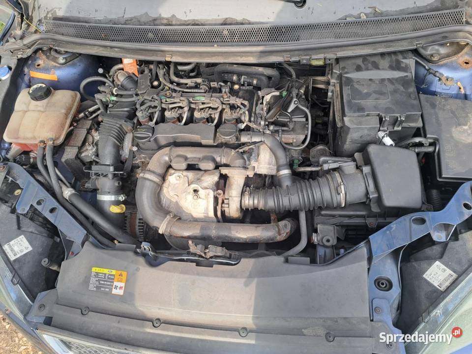 Ford Focus 16 TDCI Jędrzejów