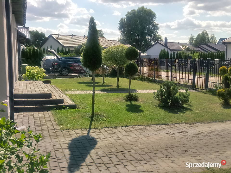 nowy bezkosztowy mały dom Sprzedaż