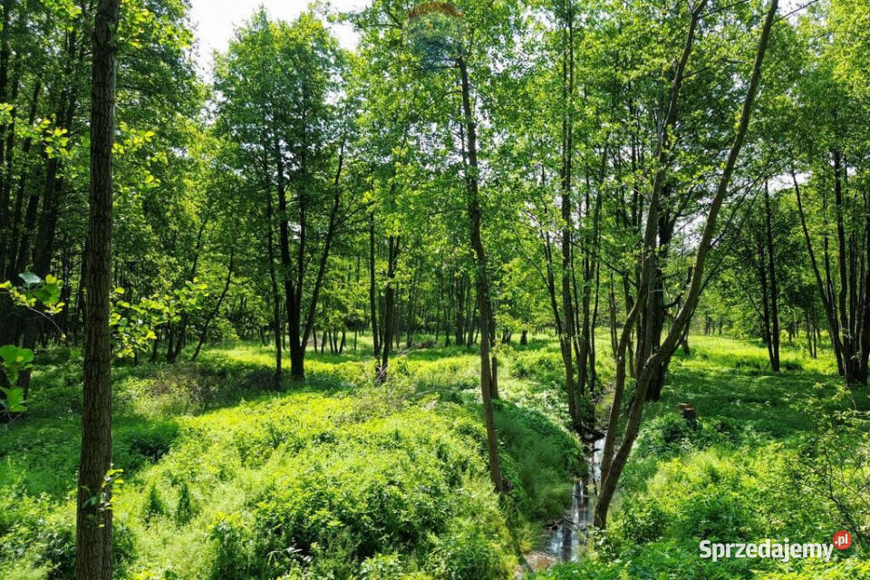 Działka Budowlana 2324 m2 Bieganów gm Jaktorów mazowieckie sprzedam