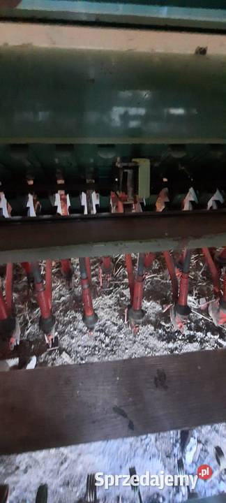 Siewnik zbożowy Hassia 25m Tomaszów Lubelski