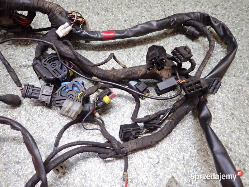INSTALACJA ELEKTRYKA WIĄZKA ELEKTRYCZNA CAŁA Strzelce Krajeńskie