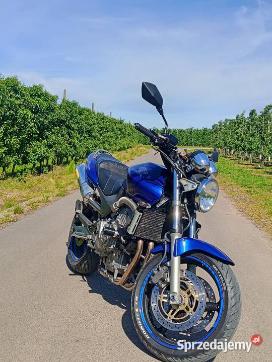 Honda CB600F Hornet A2 naked