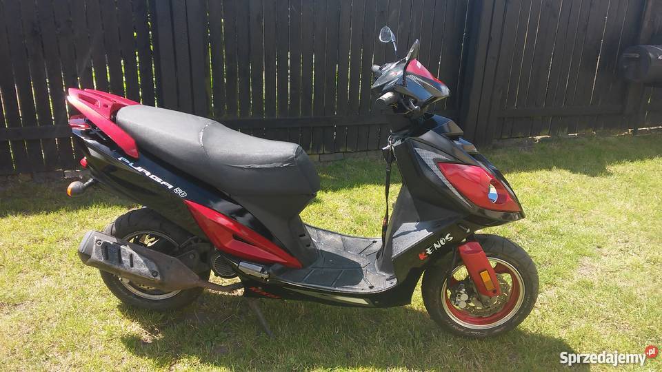 Sprzedam Kenos Purga Chojnice
