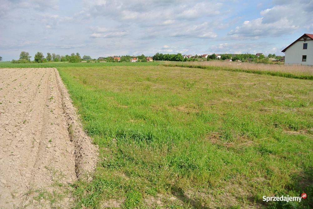 Działka Pierwoszów 1 690 m dolnośląskie sprzedam