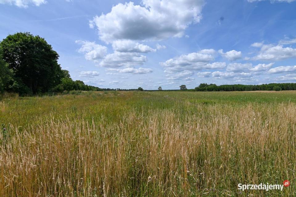 Sprzedam działkę 4800m2